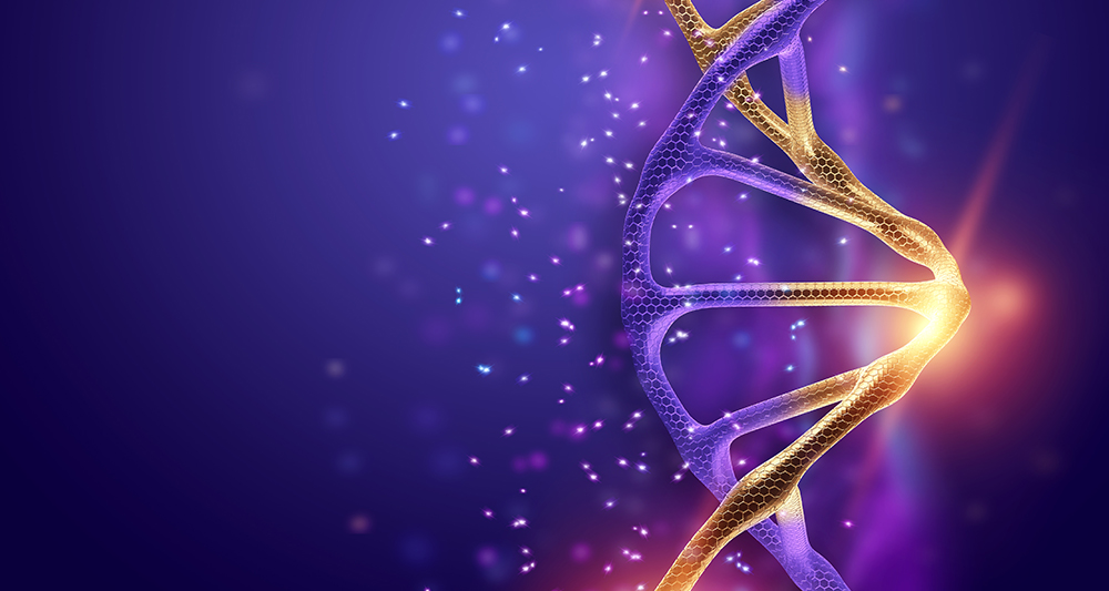 VİP Biyoloji Özel Ders